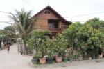 rumah kayu